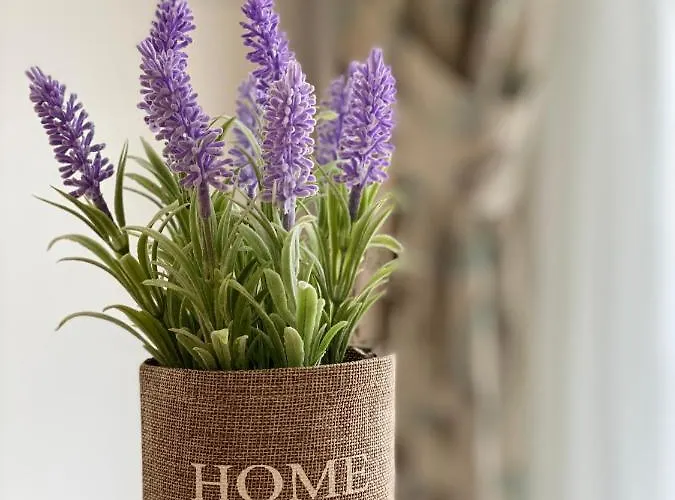 Hotel de apartamente Millennium Ii Family Paradise *